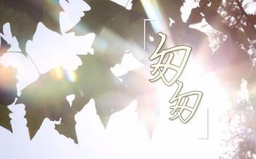 读匆匆读后感500字7篇