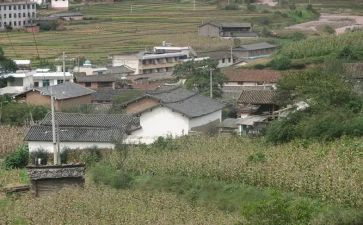 村医生述职报告8篇