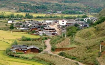 村社区党总支述职报告7篇