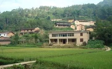 2022年农村小学校长工作总结8篇