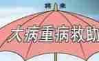 重大病救助申请书模板8篇