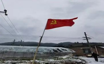 2024版党员转正申请书范文7篇