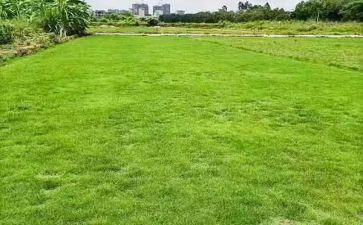 建筑工地安全年终工作总结7篇