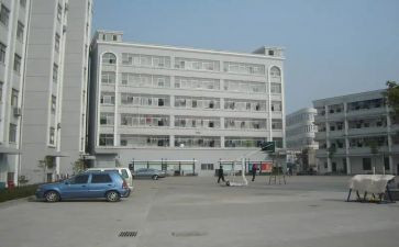电大学生调查报告最新7篇