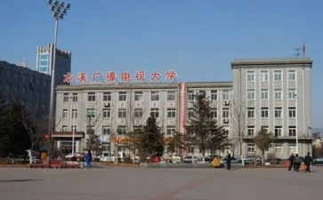 电大学生调查报告6篇