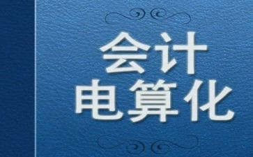 电算化会计实训心得体会7篇