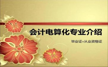 电算化会计个人总结5篇