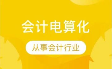 对电算化的心得体会8篇
