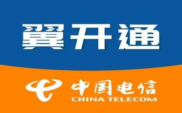 公司电信工作总结7篇