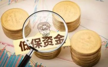 2022低保工作总结5篇
