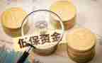 2022低保工作总结5篇