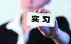 教育顶岗实习工作总结6篇