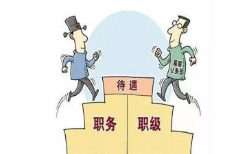 教师转正定级表个人总结6篇