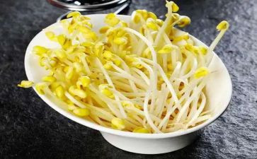 观察豆芽作文6篇