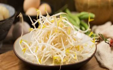 发豆芽的作文6篇