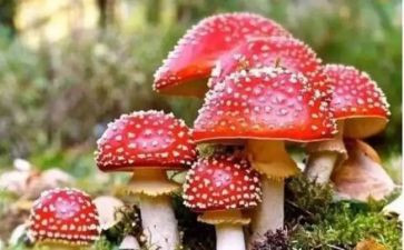 毒友谊演讲稿参考5篇