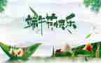 局端午节活动总结优秀7篇