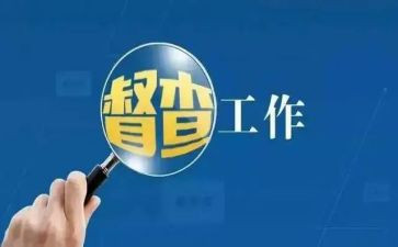 督查队的工作总结5篇