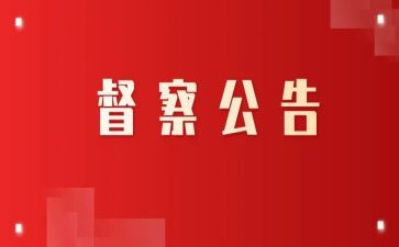 督查队的工作总结最新5篇