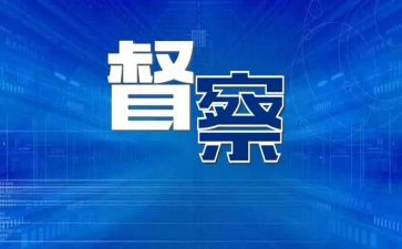 督查个人工作总结7篇