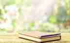 学校读后感通用6篇