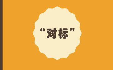 对标定级工作总结7篇