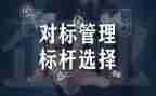 对标城市工作计划8篇