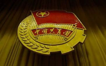 对团组织的心得体会7篇
