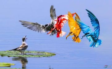 多彩的生活作文600字5篇