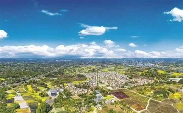 郫都区2023年工作计划优秀6篇