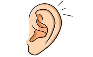 那声音在我耳边回响作文800字5篇