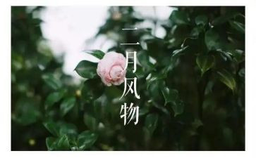 二月份工作总结5篇