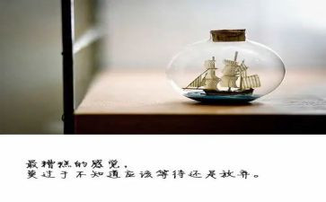 解放西读后感5篇