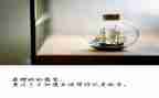 放牛班的春天心得体会6篇