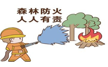 森防火工作总结6篇