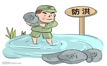 防台防汛工作总结5篇