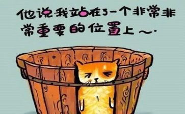 心得与反思推荐7篇