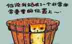 心得与反思推荐7篇