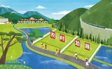 3—6岁儿童发展指南心得体会5篇