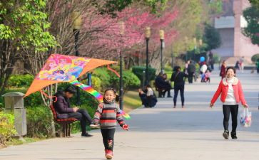 追风筝人的读后感5篇