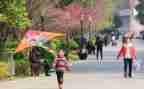 追风筝人的读后感5篇