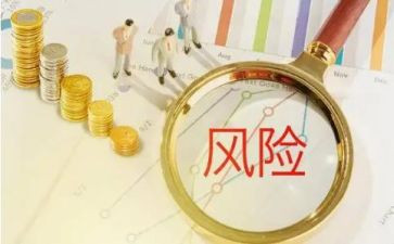 风险官述职报告6篇