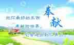 教师奉献体会心得体会8篇