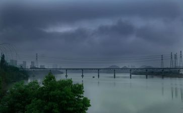 东风雨观后感最新8篇