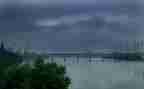 东风雨观后感最新8篇