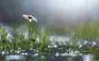 风雨心得体会5篇