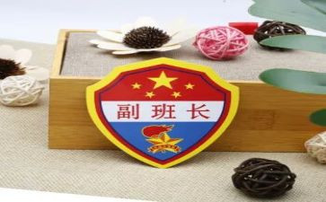 大学副班长工作总结范文2022精选5篇