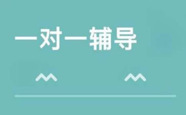 辅导教师的工作计划8篇