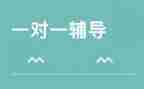 辅导教师的工作计划8篇