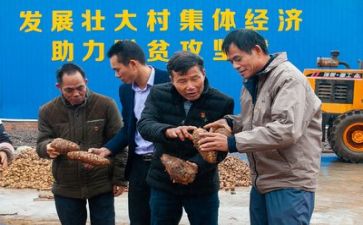 扶贫工作心得体会2023精选8篇